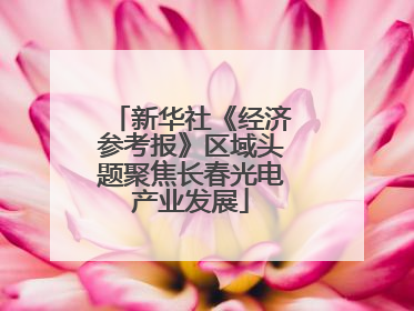 新华社《经济参考报》区域头题聚焦长春光电产业发展