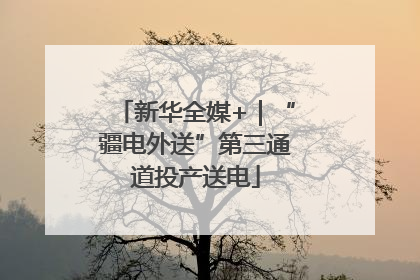 新华全媒+｜“疆电外送”第三通道投产送电