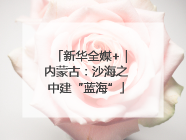 新华全媒+｜内蒙古：沙海之中建“蓝海”
