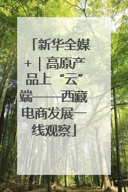 新华全媒+｜高原产品上“云”端——西藏电商发展一线观察