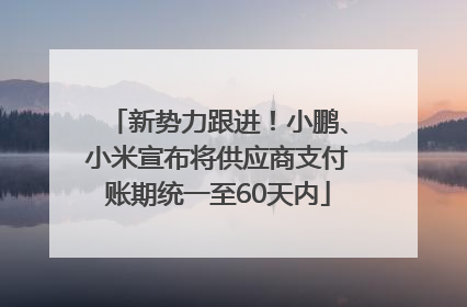 新势力跟进！小鹏、小米宣布将供应商支付账期统一至60天内
