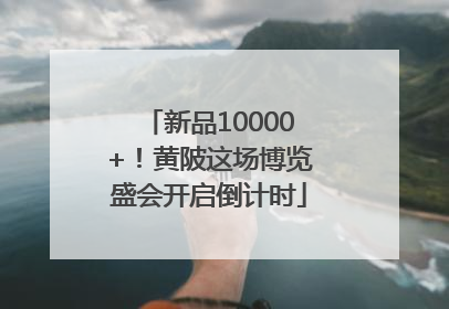 新品10000+！黄陂这场博览盛会开启倒计时