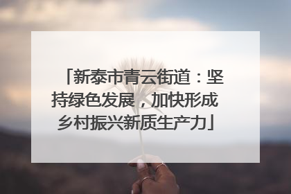 新泰市青云街道：坚持绿色发展，加快形成乡村振兴新质生产力