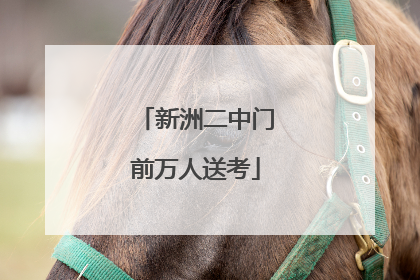 新洲二中门前万人送考