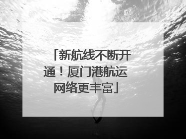 新航线不断开通！厦门港航运网络更丰富