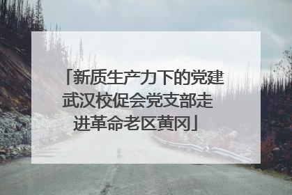 新质生产力下的党建 武汉校促会党支部走进革命老区黄冈