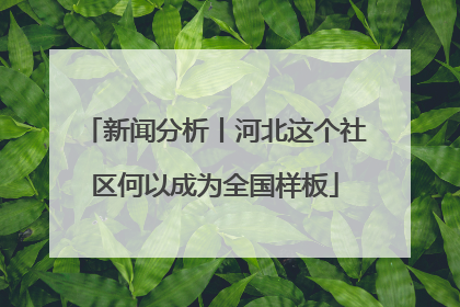 新闻分析丨河北这个社区何以成为全国样板