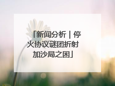 新闻分析｜停火协议谜团折射加沙局之困