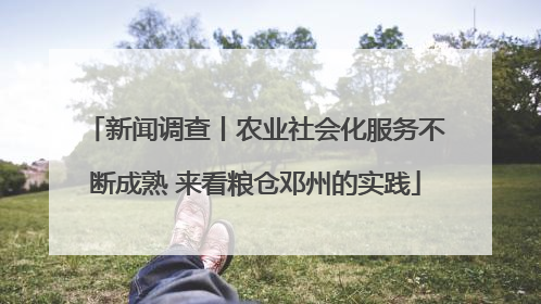 新闻调查丨农业社会化服务不断成熟 来看粮仓邓州的实践