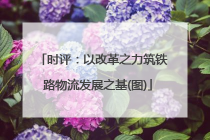 时评：以改革之力筑铁路物流发展之基(图)