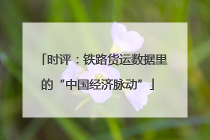 时评：铁路货运数据里的“中国经济脉动”
