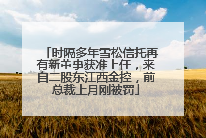时隔多年雪松信托再有新董事获准上任，来自二股东江西金控，前总裁上月刚被罚