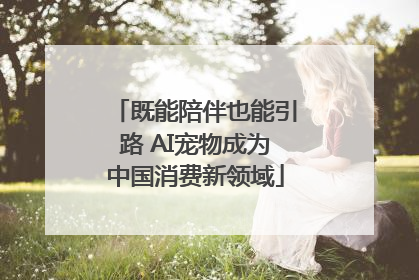 既能陪伴也能引路 AI宠物成为中国消费新领域
