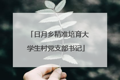 日月乡精准培育大学生村党支部书记