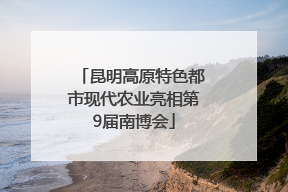 昆明高原特色都市现代农业亮相第9届南博会