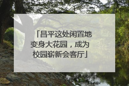 昌平这处闲置地变身大花园，成为校园崭新会客厅