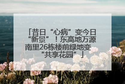 昔日“心病”变今日“新景”！东高地万源南里26栋楼前绿地变“共享花园”