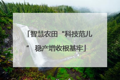 智慧农田“科技范儿” 稳产增收根基牢