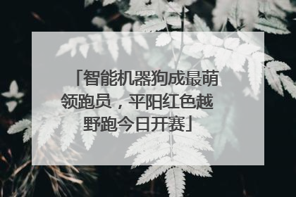 智能机器狗成最萌领跑员，平阳红色越野跑今日开赛