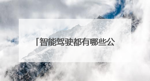 智能驾驶都有哪些公司？Momenta“穿行桥底迷宫”无法不令人印象深刻！