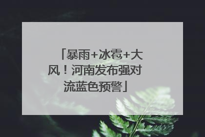暴雨+冰雹+大风！河南发布强对流蓝色预警