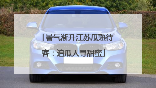暑气渐升江苏瓜熟待客：追瓜人寻甜蜜
