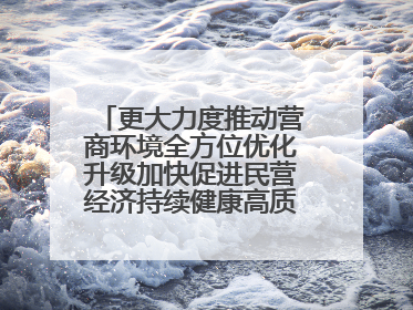 更大力度推动营商环境全方位优化升级加快促进民营经济持续健康高质量发展