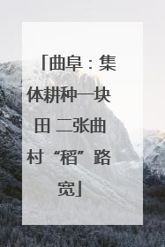 曲阜：集体耕种一块田 二张曲村“稻”路宽
