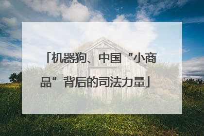 机器狗、中国“小商品”背后的司法力量