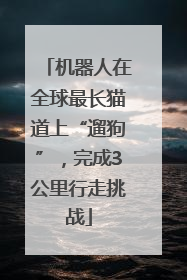 机器人在全球最长猫道上“遛狗”，完成3公里行走挑战