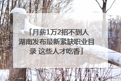 月薪1万2招不到人 湖南发布最新紧缺职业目录 这些人才吃香