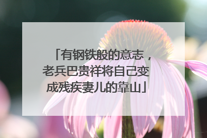 有钢铁般的意志，老兵巴贵祥将自己变成残疾妻儿的靠山