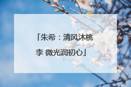 朱希：清风沐桃李 微光润初心