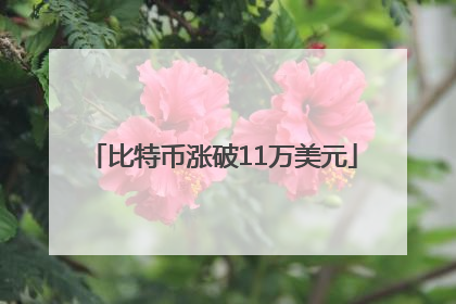 比特币涨破11万美元