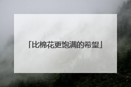 比棉花更饱满的希望