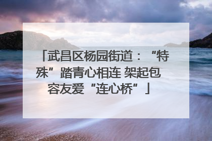 武昌区杨园街道：“特殊”踏青心相连 架起包容友爱“连心桥”