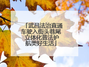 武昌法治直通车驶入街头巷尾 立体化普法护航美好生活