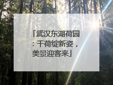 武汉东湖荷园：千荷绽新姿，美景迎客来