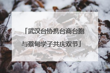 武汉台协携台商台胞与蔡甸学子共庆双节