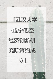 武汉大学·咸宁低空经济创新研究院签约成立