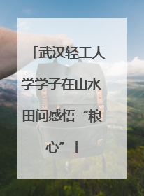 武汉轻工大学学子在山水田间感悟“粮心”