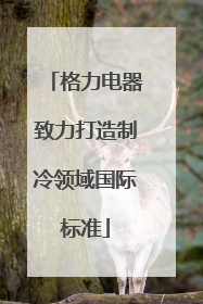 格力电器致力打造制冷领域国际标准