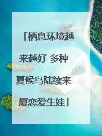 栖息环境越来越好 多种夏候鸟陆续来厦恋爱生娃
