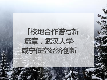 校地合作谱写新篇章，武汉大学·咸宁低空经济创新研究院签约成立