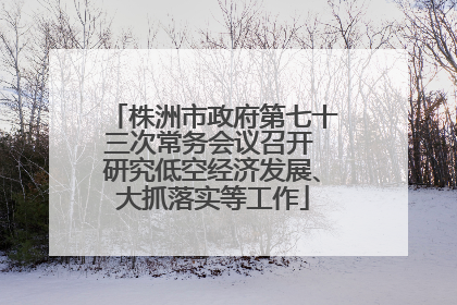 株洲市政府第七十三次常务会议召开 研究低空经济发展、大抓落实等工作