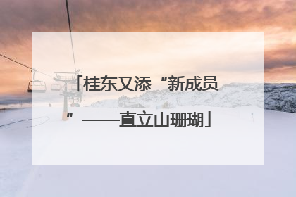 桂东又添“新成员”——直立山珊瑚