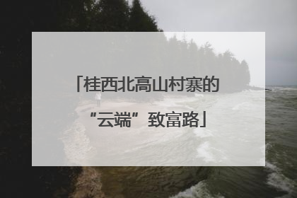 桂西北高山村寨的“云端”致富路