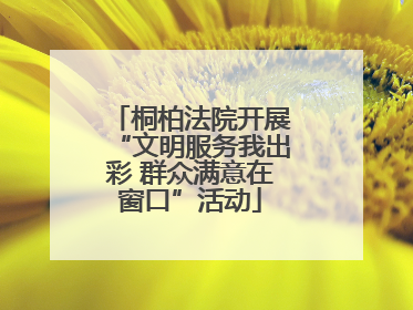 桐柏法院开展“文明服务我出彩 群众满意在窗口”活动