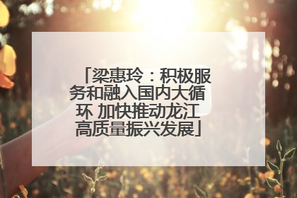 梁惠玲：积极服务和融入国内大循环 加快推动龙江高质量振兴发展