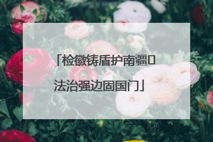 检徽铸盾护南疆 法治强边固国门